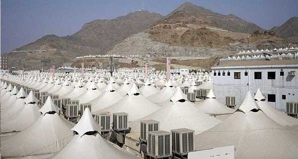 الرمالزاحفة_تطورنا